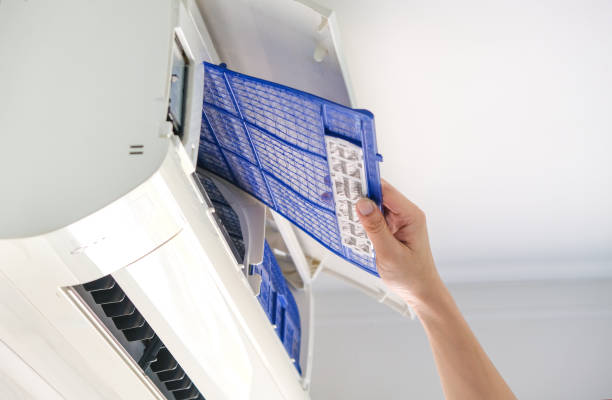 Best Air Vent Cleaning Services  in Mangonia Park, FL